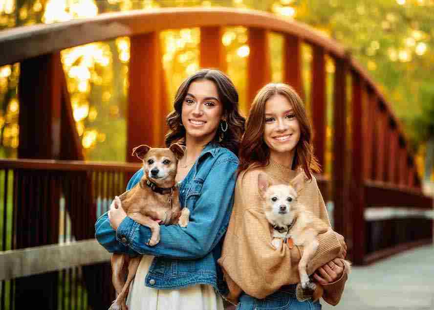 图片[2]-（17403期）大师级GTG出品-老友记系列AI自适应预设The Friends Preset Collection