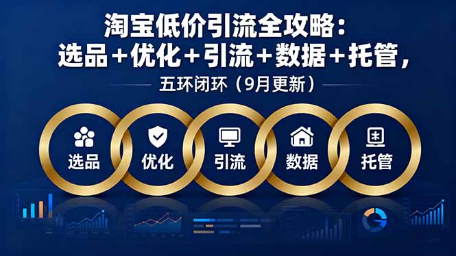 （16009期）淘宝低价引流全攻略：选品＋优化＋引流＋数据＋托管，五环闭环（9月更新）-网创资源