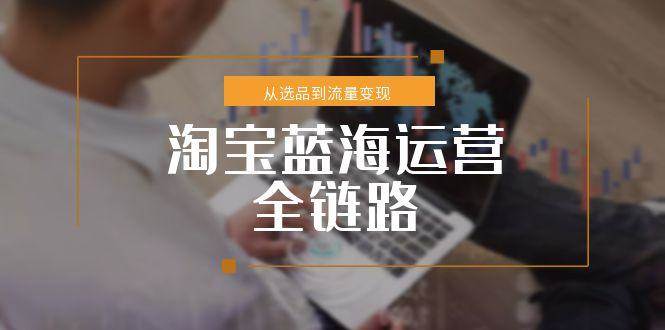 淘宝蓝海运营全链路，从选品到流量变现，小类目突围完整方案[db:副标题]-网创资源