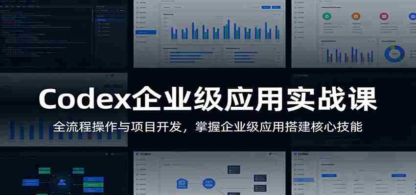 Codex企业级应用实战课：全流程操作与项目开发，掌握企业级应用搭建核心技能-网创资源