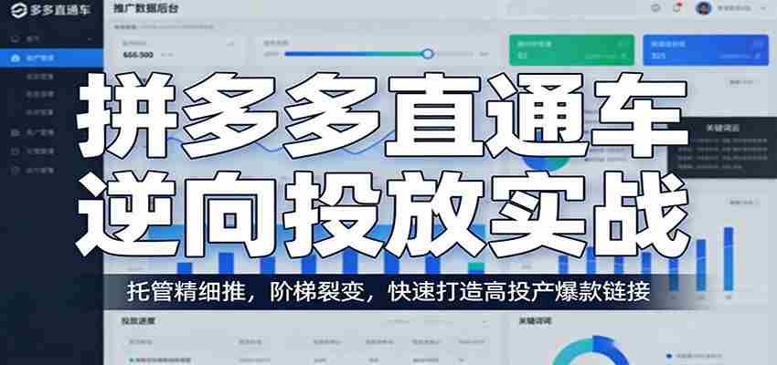 拼多多直通车逆向投放实战：托管精细推，阶梯裂变，快速打造高投产爆款链接-网创资源