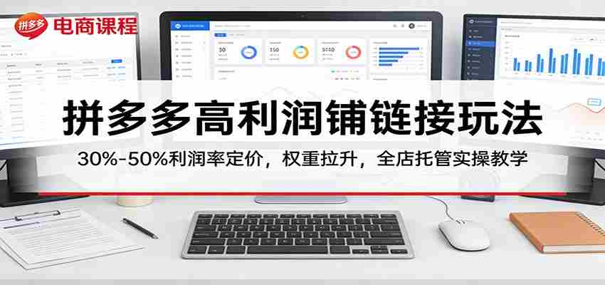 拼多多高利润铺链接玩法：30%–50%利润率定价，权重拉升，全店托管实操教学-网创资源