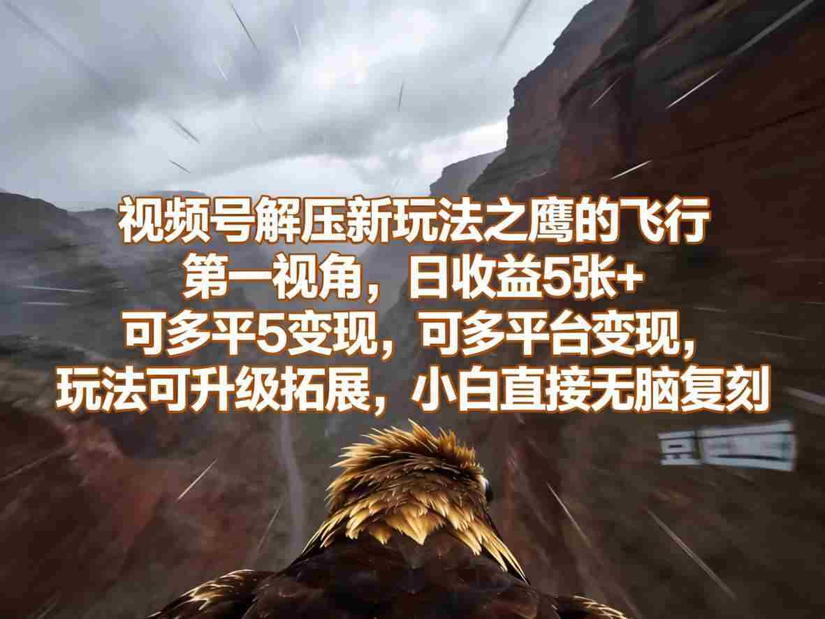 视频号解压新玩法之鹰的飞行第一视角，日收益5张+，可多平台变现，玩法可升级拓展，小白直接无脑复刻-网创资源