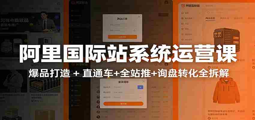 阿里国际站运营实战课：从店铺布局到TOP10旺铺，数据化运营，推广全攻略-网创资源