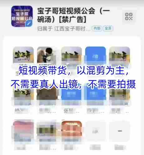 宝子哥头部团队短视频带货，以混剪为主，不需要真人出镜，不需要拍摄【更新26年3月】-网创资源