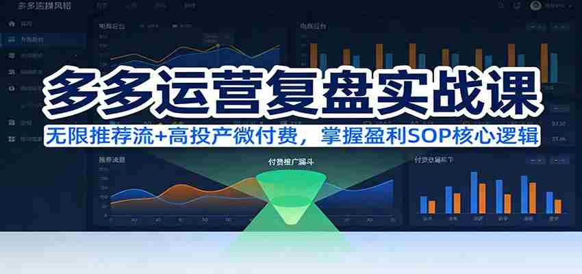 多多运营复盘实战课：无限推荐流+高投产微付费，掌握盈利SOP核心逻辑（更新）-网创资源