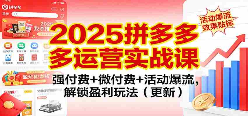 2025拼多多运营实战课：强付费+微付费+活动爆流，解锁盈利玩法（更新）-网创资源