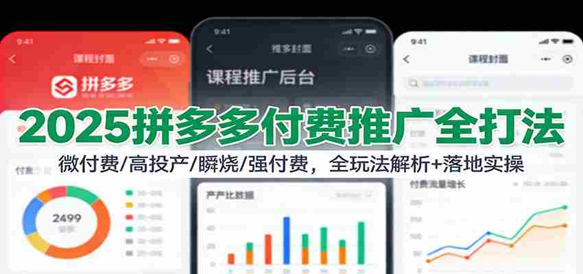 2025拼多多付费推广全打法：微付费/高投产/瞬烧/强付费，全玩法解析+落地实操-网创资源