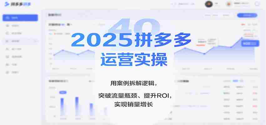 2025拼多多运营实操，用案例拆解逻辑，突破流量瓶颈、提升ROI，实现销量增长（更新）-网创资源