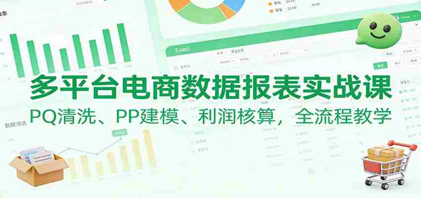 多平台电商数据报表实战课：PQ清洗、PP建模、 利润核算，全流程教学-网创资源
