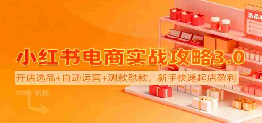 小红书电商实战攻略3.0：开店选品+自动运营+测款怼款，新手快速起店盈利-网创资源