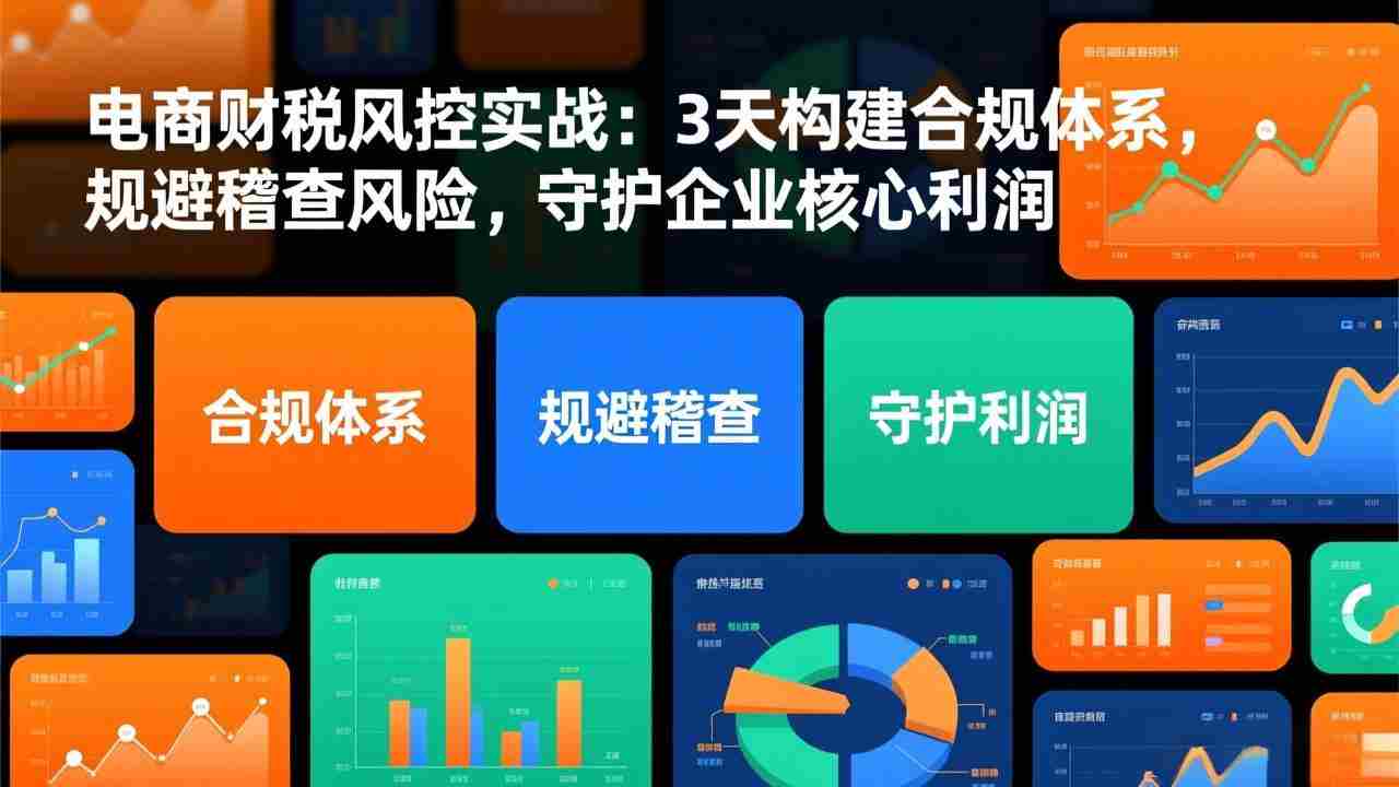 （17197期）电商财税风控实战：3天构建合规体系，规避稽查风险，守护企业核心利润-网创资源
