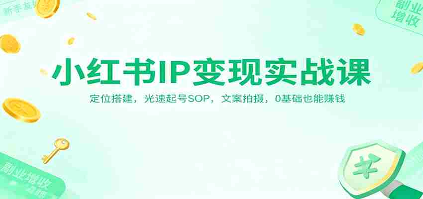 小红书IP变现实战课：定位搭建，光速起号SOP，文案拍摄，0基础也能赚钱-网创资源