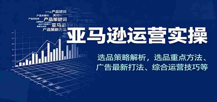 亚马逊运营实操，选品策略解析，选品重点方法、广告最新打法、综合运营技巧等-网创资源