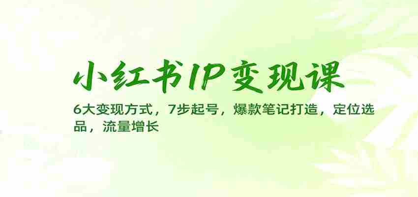 小红书IP变现课：6大变现方式，7步起号，爆款笔记打造，定位选品，流量增长-网创资源