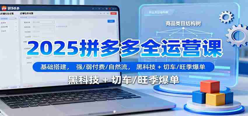 2025拼多多全运营课：基础搭建，强/弱付费/自然流，黑科技 + 切车/旺季爆单-网创资源