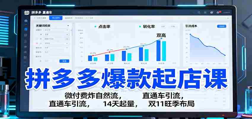 拼多多爆款起店课：微付费炸自然流，直通车引流，14天起量，双11旺季布局-网创资源