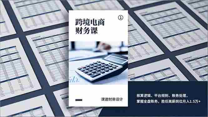 （17036期）跨境电商财务课，核算逻辑、平台规则、账务处理，掌握全盘账务，胜任高薪岗位月入1.5万+-网创资源