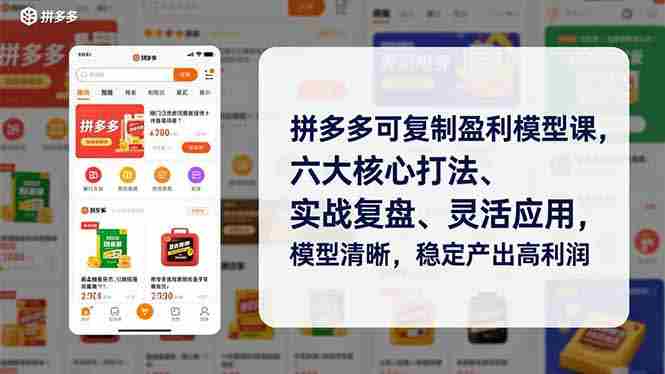 （16952期）拼多多可复制盈利模型课，六大核心打法、实战复盘、灵活应用，模型清晰，稳定产出高利润-网创资源