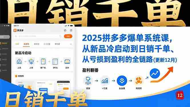 （16894期）2025拼多多爆单系统课，从新品冷启动到日销千单、从亏损到盈利的全链路（更新12月）-网创资源