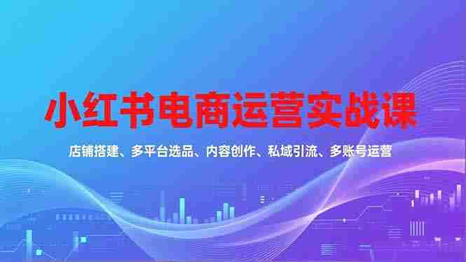 （16695期）小红书电商运营实战课，店铺搭建、多平台选品、内容创作、私域引流、多账号运营等玩法-网创资源