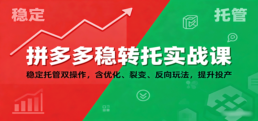拼多多稳转托实战课：稳定托管双操作，含优化、裂变、反向玩法，提升投产-网创资源
