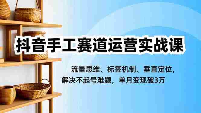 （16667期）抖音手工赛道运营实战课，流量思维、标签机制、垂直定位，解决不起号难题，单月变现破3万-网创资源