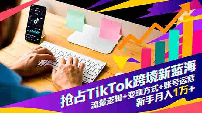 （16640期）抢占TikTok跨境新蓝海：流量逻辑+变现方式+账号运营，新手月入1万+-网创资源