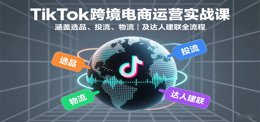 TikTok跨境电商运营实战课：涵盖选品、投流、物流及达人建联全流程-网创资源