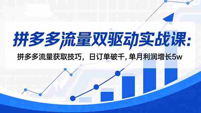 （16563期）拼多多流量双驱动实战课：拼多多流量获取技巧，日订单破千,单月利润增长5w-网创资源