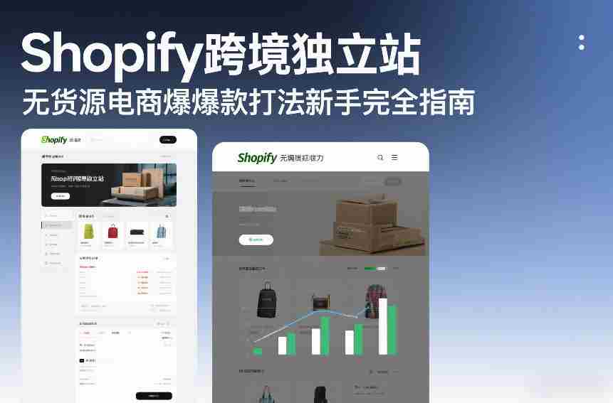 Shopify跨境独立站无货源电商爆款打法新手完全指南-网创资源