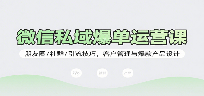 微信私域爆单运营课：朋友圈/社群/引流技巧，客户管理与爆款产品设计-网创资源