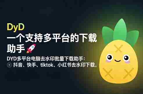 DYD多平台电脑去水印批量下载助手：抖音、快手、tiktok、小红书去水印下载-网创资源