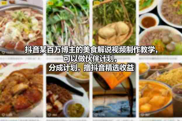 抖音某百万博主的美食解说视频制作教学，可以做伙伴计划，分成计划，撸抖音精选收益-网创资源