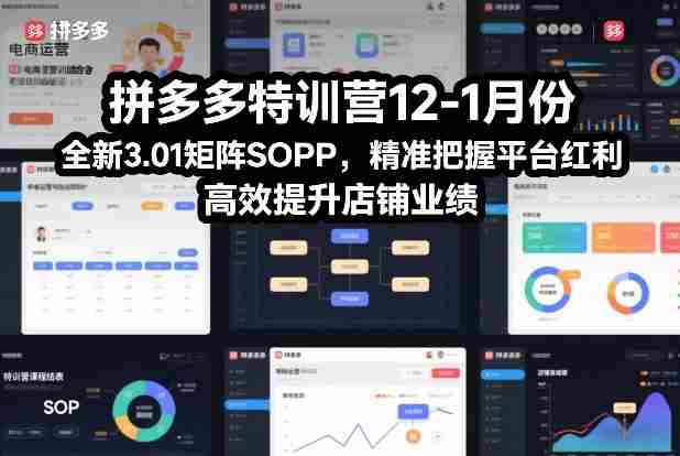 拼多多特训营12-1月份，全新3.01矩阵Sop，精准把握平台红利，高效提升店铺业绩-网创资源