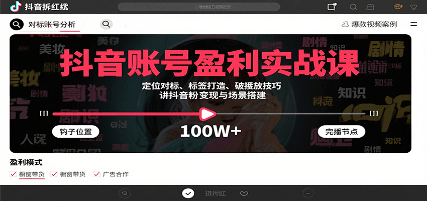 抖音账号盈利实战课，定位对标、标签打造、破播放技巧，讲涨粉变现与场景搭建-网创资源