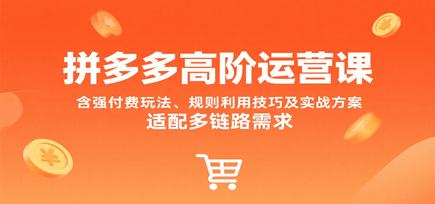 拼多多高阶运营课，含强付费玩法、规则利用技巧及实战方案，适配多链路需求-网创资源