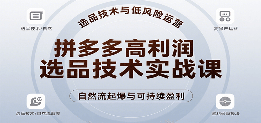 拼多多高利润选品技术实战课，手把手教学自然流高投产起爆，实现低风险可持续盈利-网创资源