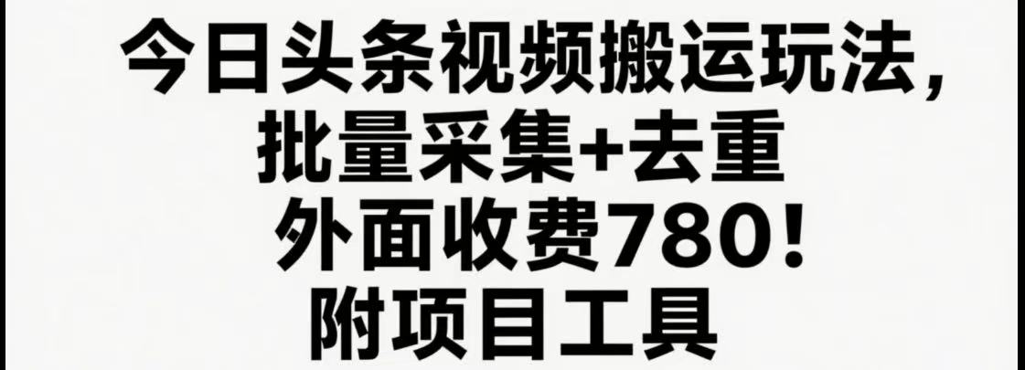 今日头条视频搬运玩法，软件一键去重，轻松日入500+附项目工具-网创资源