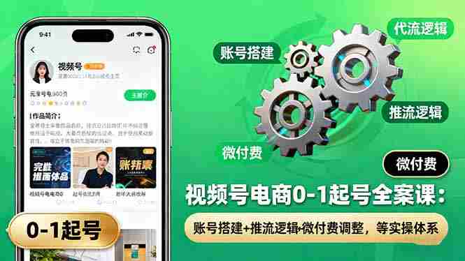 （16262期）视频号电商0-1起号全案课：账号搭建+推流逻辑+微付费调整，等实操体系-网创资源