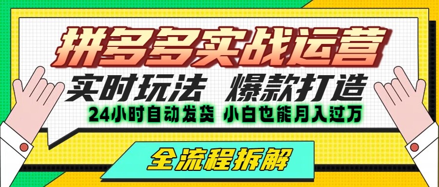 拼多多最新实战运营高投产：长久稳定项目，单店利润一天三位数-网创资源