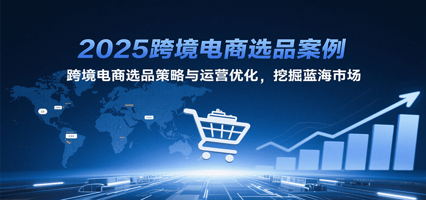 2025跨境电商选品案例，跨境电商选品策略与运营优化，挖掘蓝海市场-网创资源