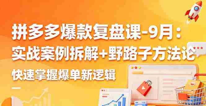 （16176期）拼多多爆款复盘课-9月：实战案例拆解+野路子方法论，快速掌握爆单新逻辑-网创资源
