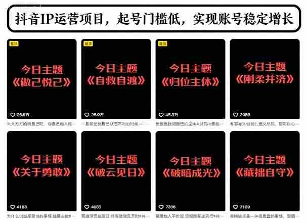 抖音IP运营项目，抖音今日主题玩法，起号门槛低，实现账号稳定增长-网创资源