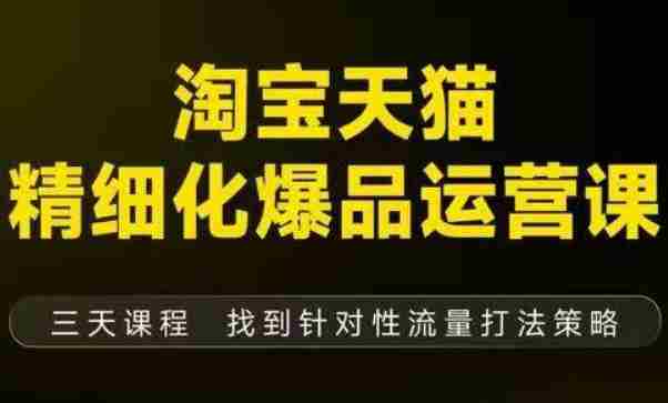 淘宝天猫精细化爆品运营（9月12-14杭州线下课），全方位拆解爆品打造逻辑【音频+字幕+文档】-网创资源