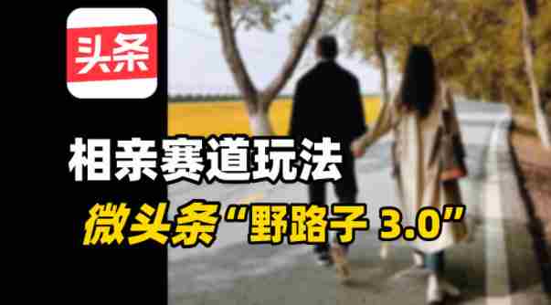 微头条“野路子3.0”相亲赛道玩法，搬砖式操作单号稳定3张-网创资源