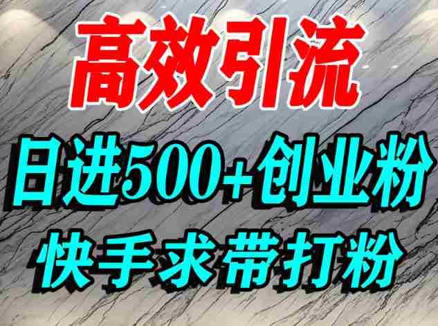 怎么打创业粉？快手求带视角精准引流创业粉，宝妈、学生群体日进500+精准流量-网创资源