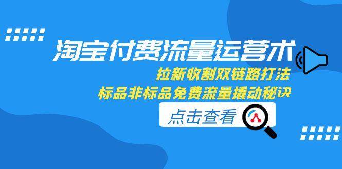淘宝付费流量运营术，拉新收割双链路打法，标品非标品免费流量撬动秘诀[db:副标题]-网创资源