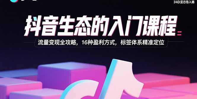 （15856期）抖音生态的入门课程：流量变现全攻略，16种盈利方式，标签体系精准定位-网创资源