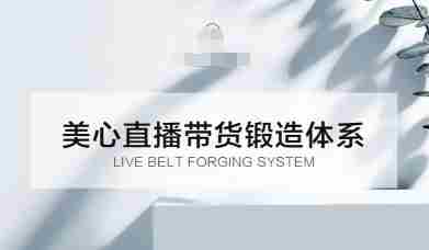 直播带货锻造体系课，5G时代美心一站式帮你开启直播带货之路【音频】-网创资源